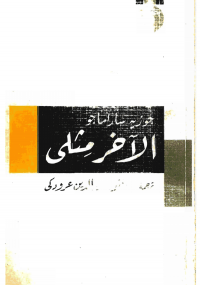 الآخر مثلى